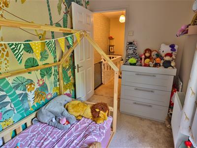 Picture 16